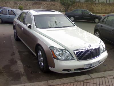                                                          �(�_●) STUNT46I (�_●)�