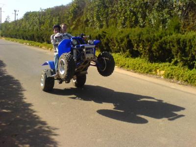 pti poussin avec sa banshee